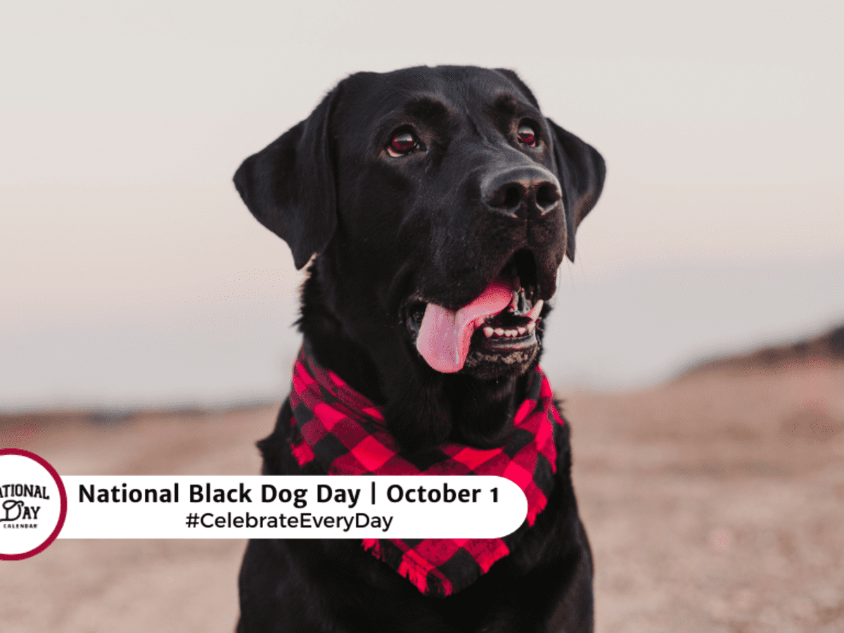 National black shops dog day 2019