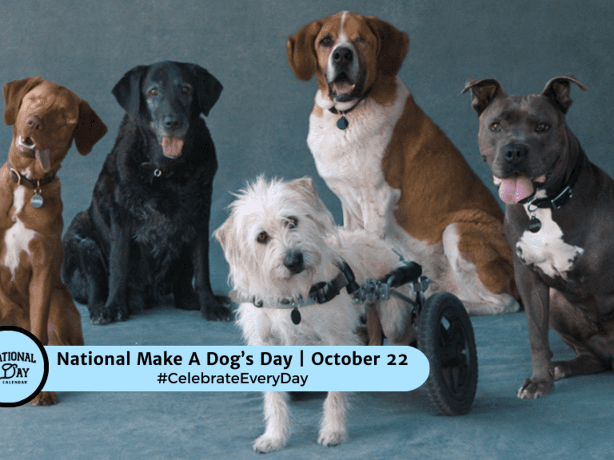 NATIONAL MAKE A DOG S DAY October 22 National Day Calendar