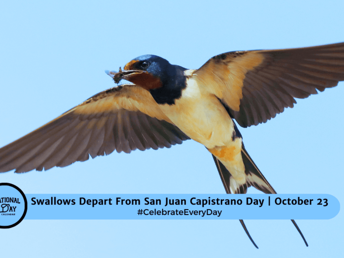 SWALLOWS DEPART FROM SAN JUAN CAPISTRANO DAY - October 23