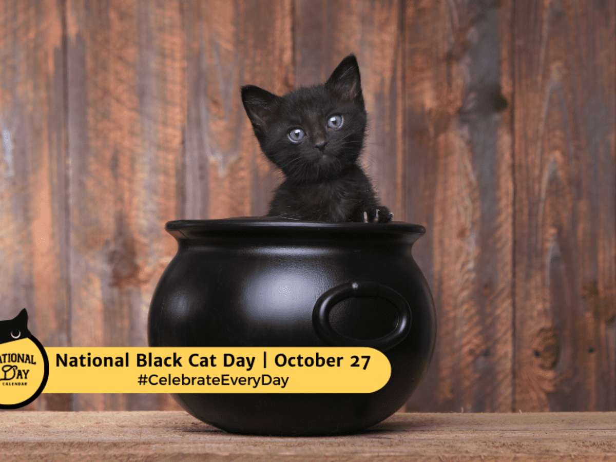 National black sales cat day