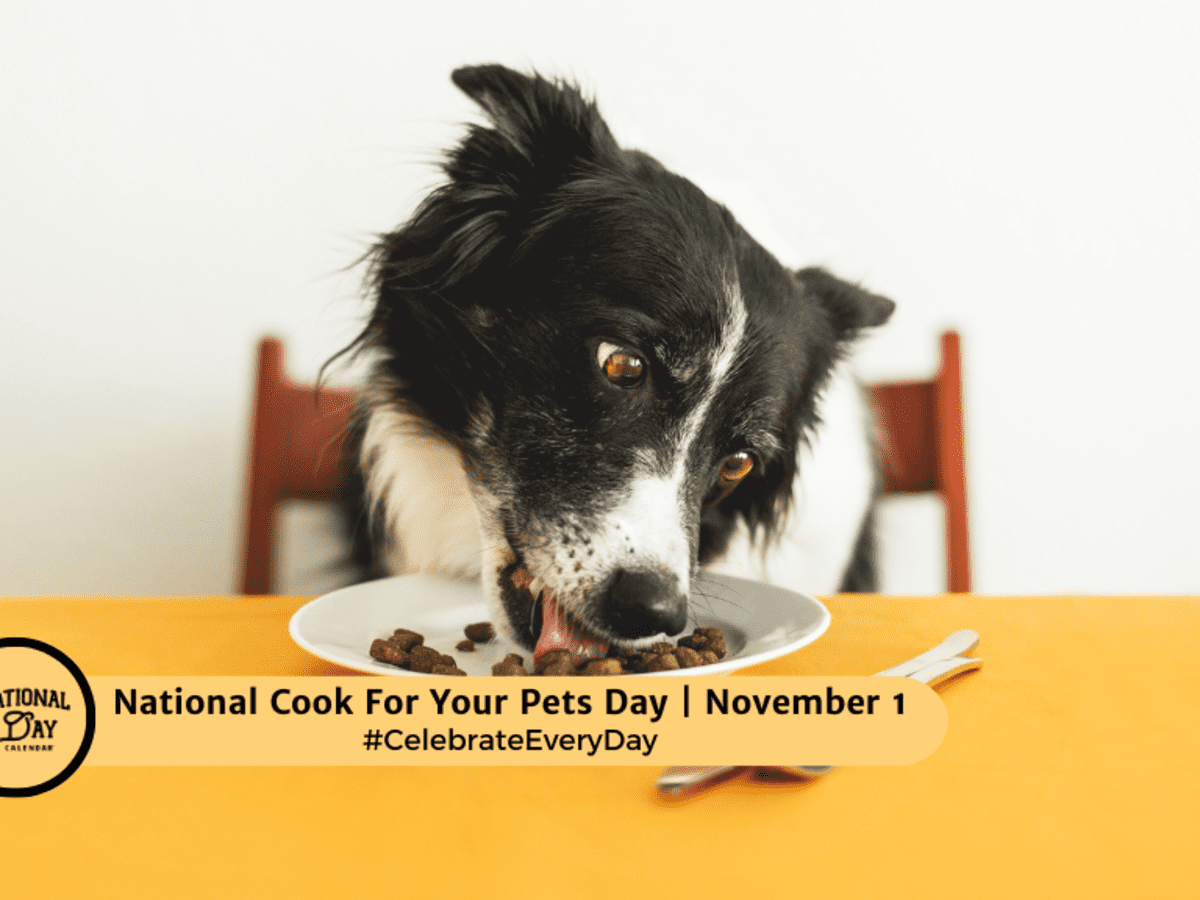 NATIONAL COOK FOR YOUR PETS DAY November 1 National Day Calendar