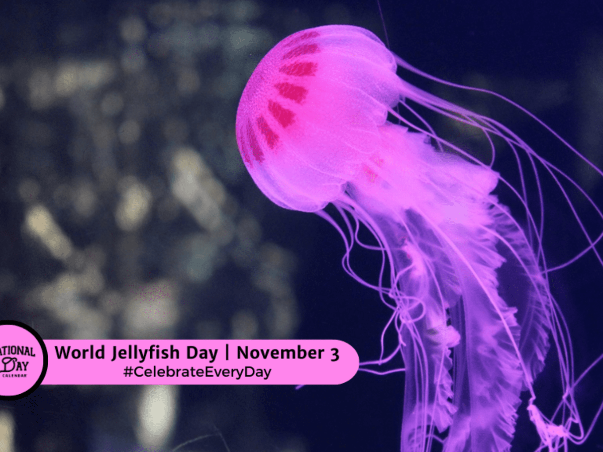 WORLD JELLYFISH DAY - November 3 - National Day Calendar