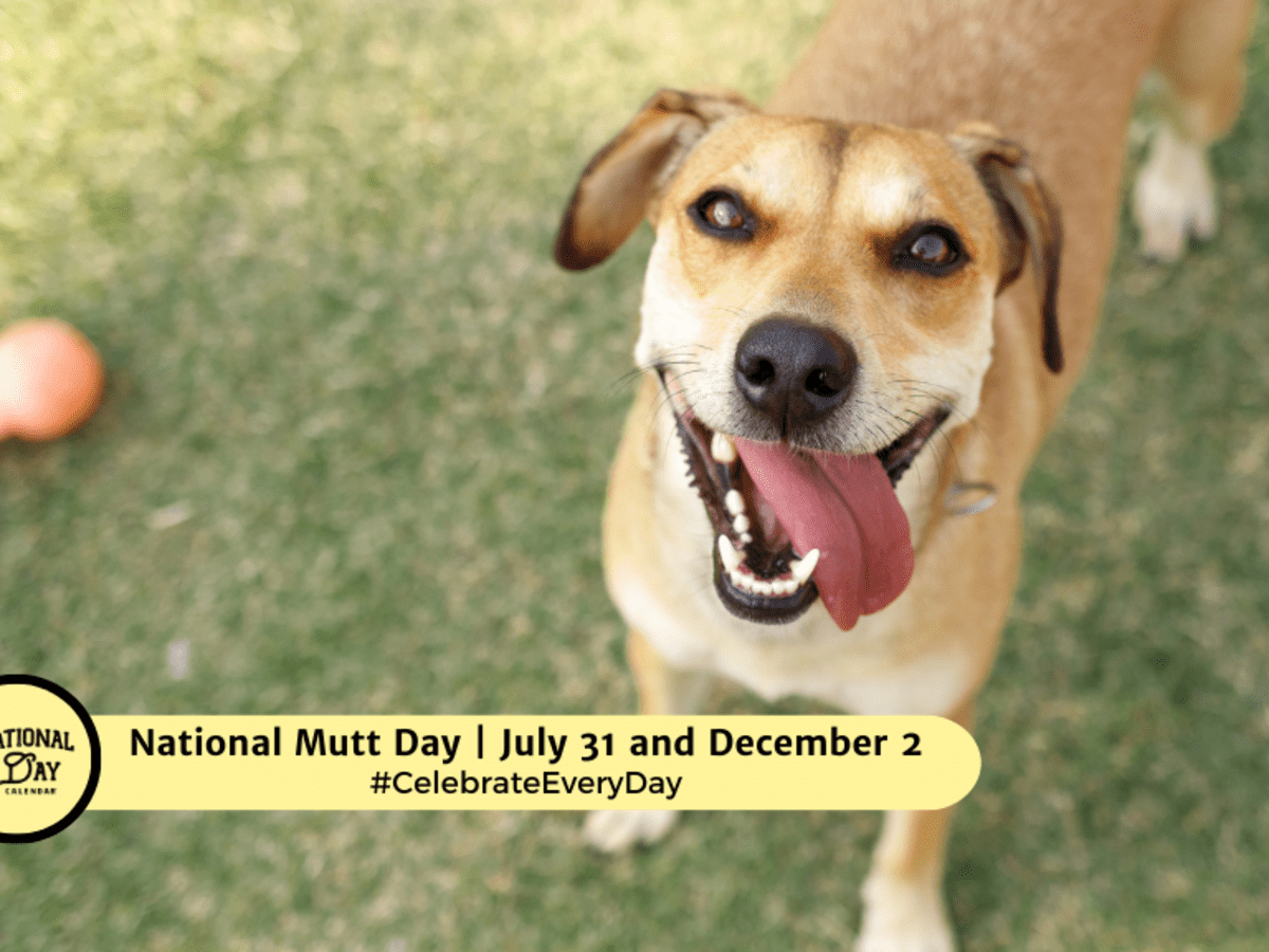 National mutt hot sale day 2019