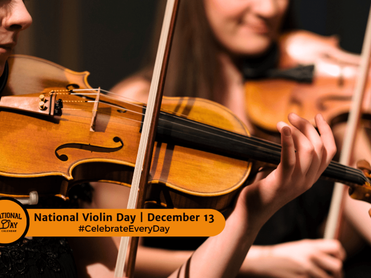 Violin day store