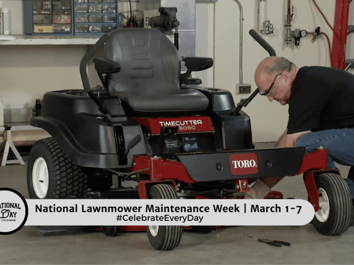 Tom's lawn 2024 mower service