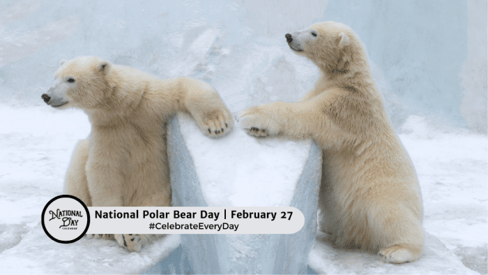 FEBRUARY 27, 2024 | NATIONAL POLAR BEAR DAY | NATIONAL RETRO DAY ...