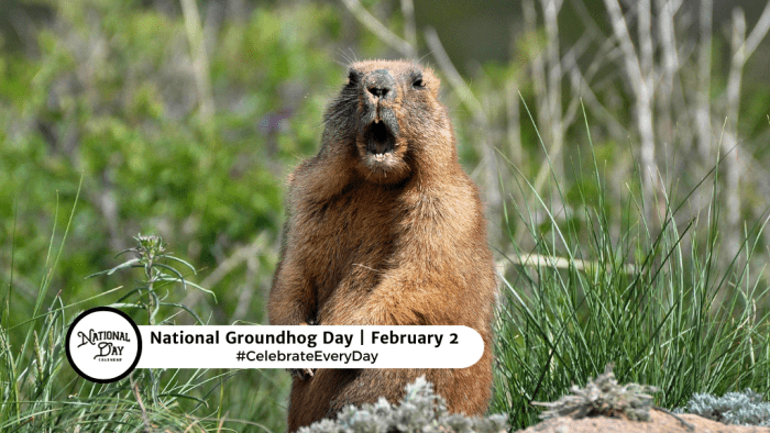 FEBRUARY 2, 2024 | NATIONAL GROUNDHOG DAY | NATIONAL TATER TOT DAY