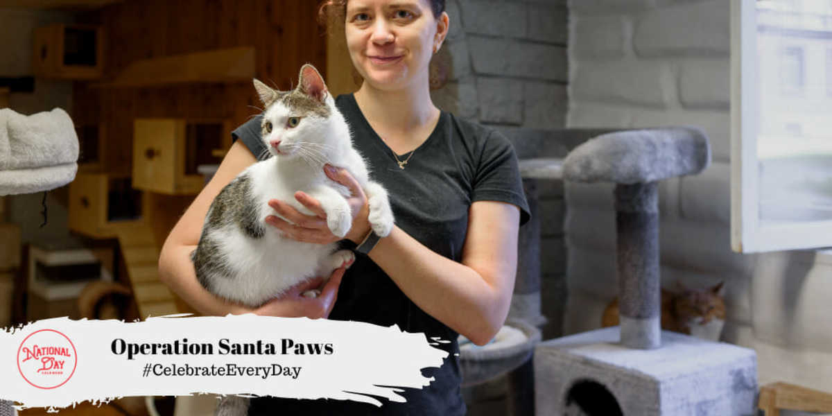 Santa paws outlet cat