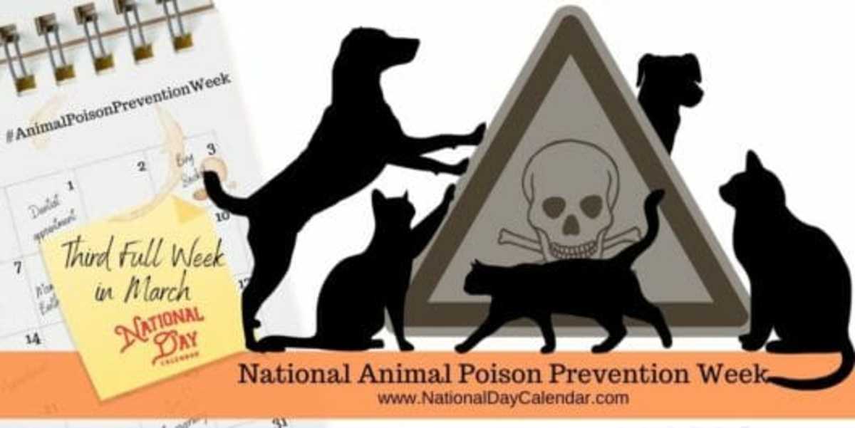 NATIONAL ANIMAL POISON PREVENTION WEEK Third Week In