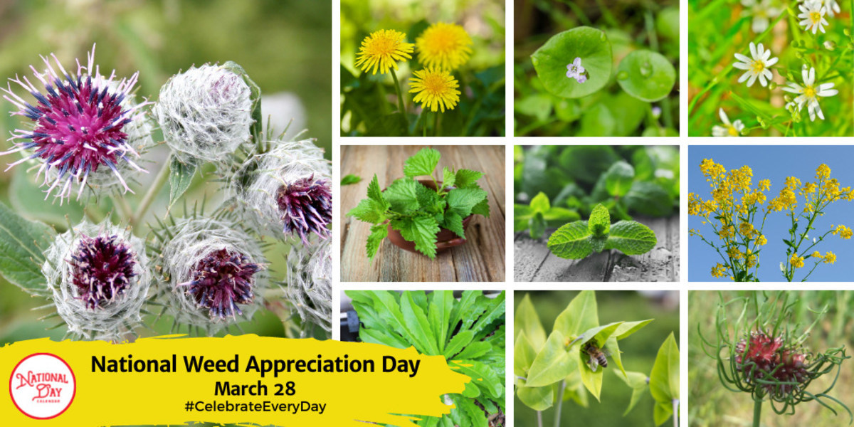 NATIONAL WEED APPRECIATION DAY March 28 National Day Calendar