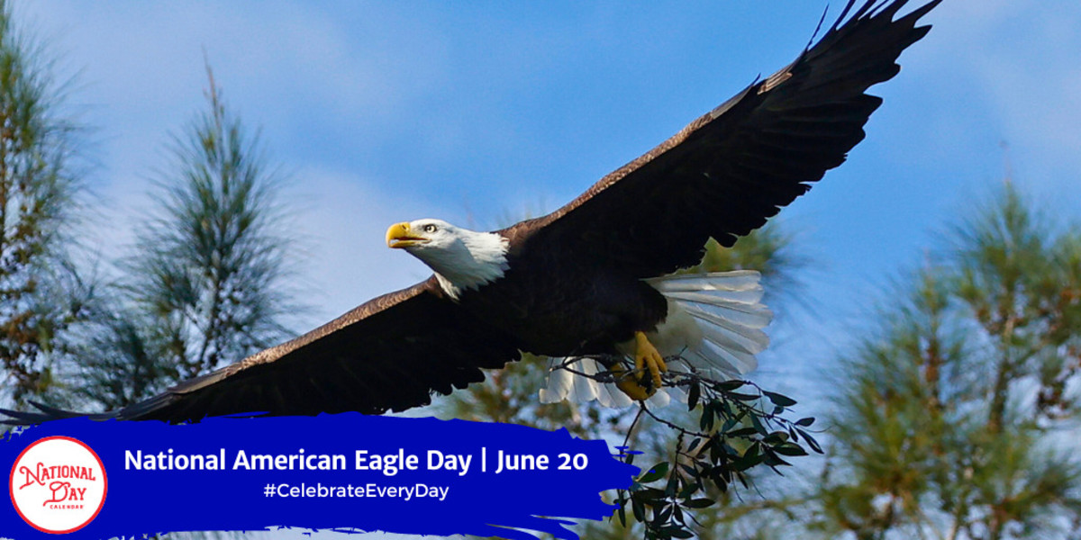 NATIONAL AMERICAN EAGLE DAY June 20 National Day Calendar