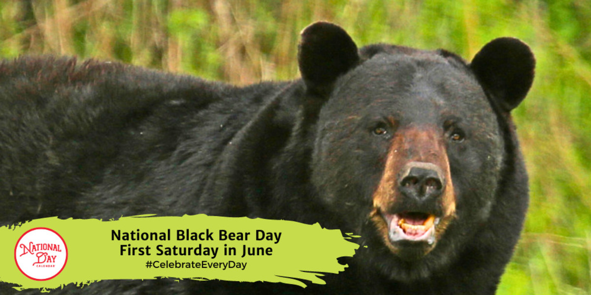 NATIONAL BLACK BEAR DAY June 1 National Day Calendar