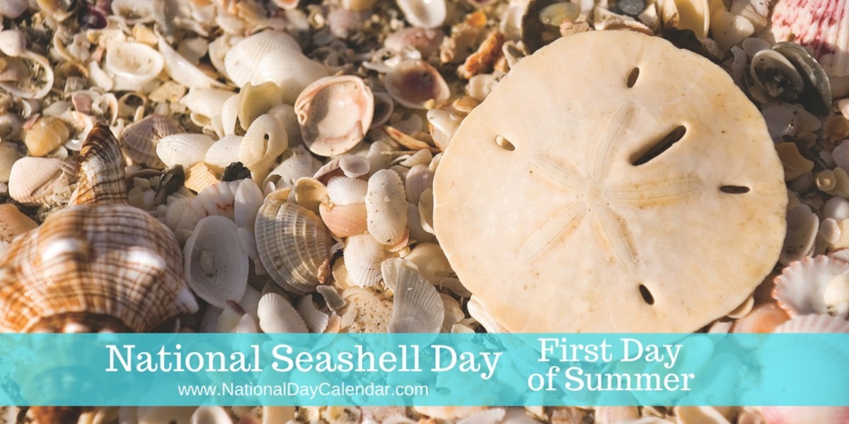 NEW DAY PROCLAMATION NATIONAL SEASHELL DAY First Day of Summer