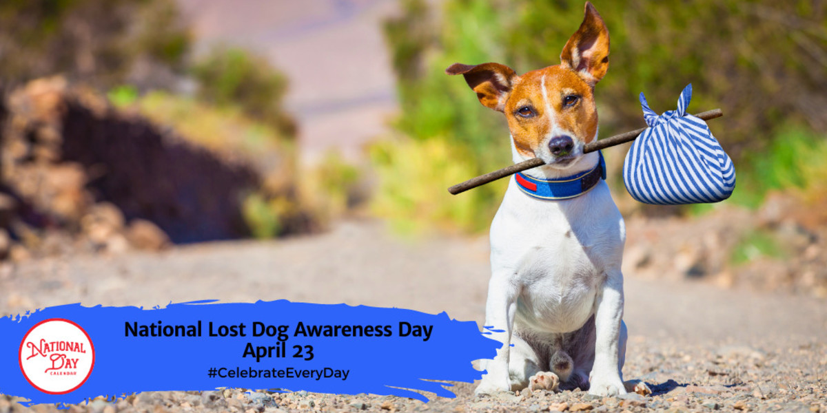 NATIONAL LOST DOG AWARENESS DAY April 23 National Day Calendar