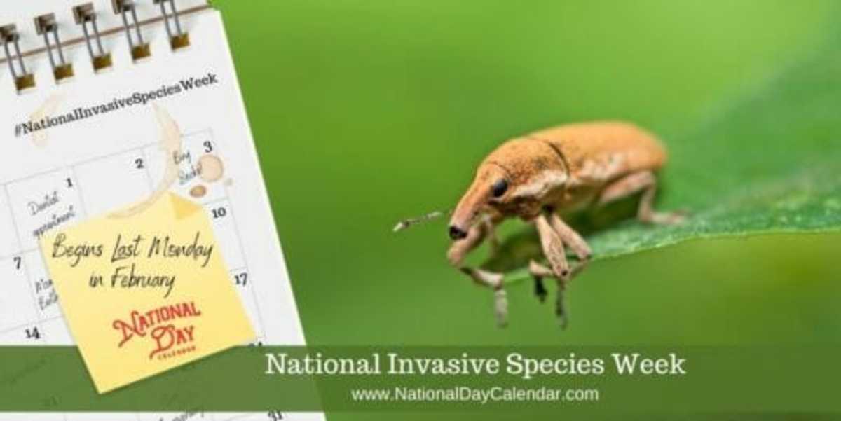 National Invasive Species Week Begins Last Monday In February National Day Calendar 