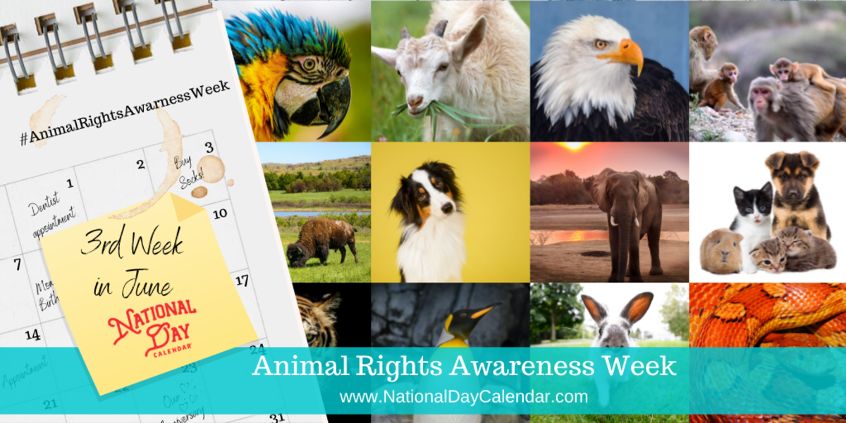 ANIMAL RIGHTS AWARENESS WEEK Third Week in June