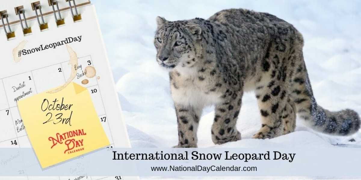 INTERNATIONAL SNOW LEOPARD DAY October 23 National Day Calendar