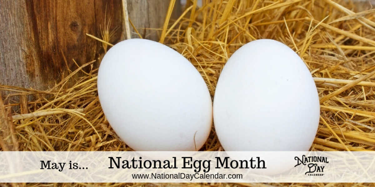 National Egg Month May National Day Calendar