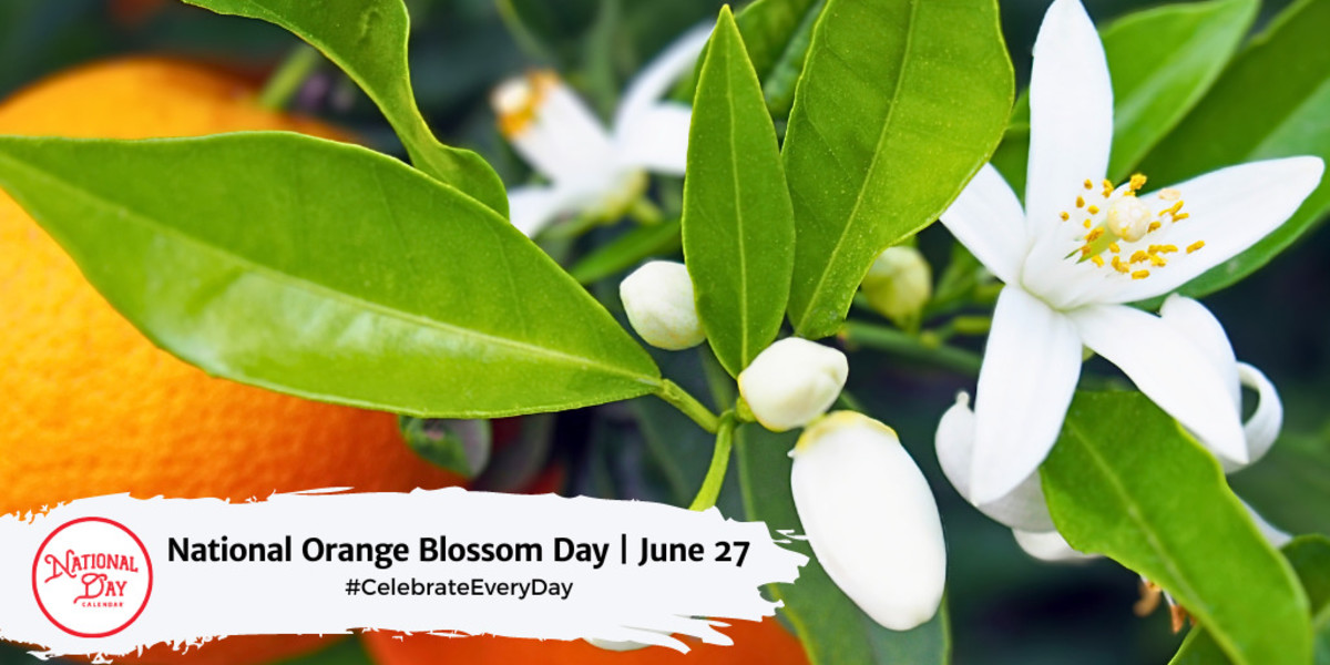 National Orange Blossom Day June 27 National Day Calendar