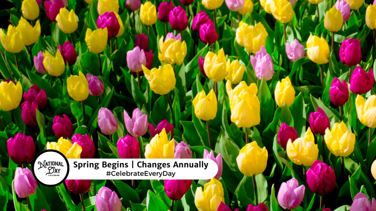 Spring Begins March 19, 2024 National Day Calendar