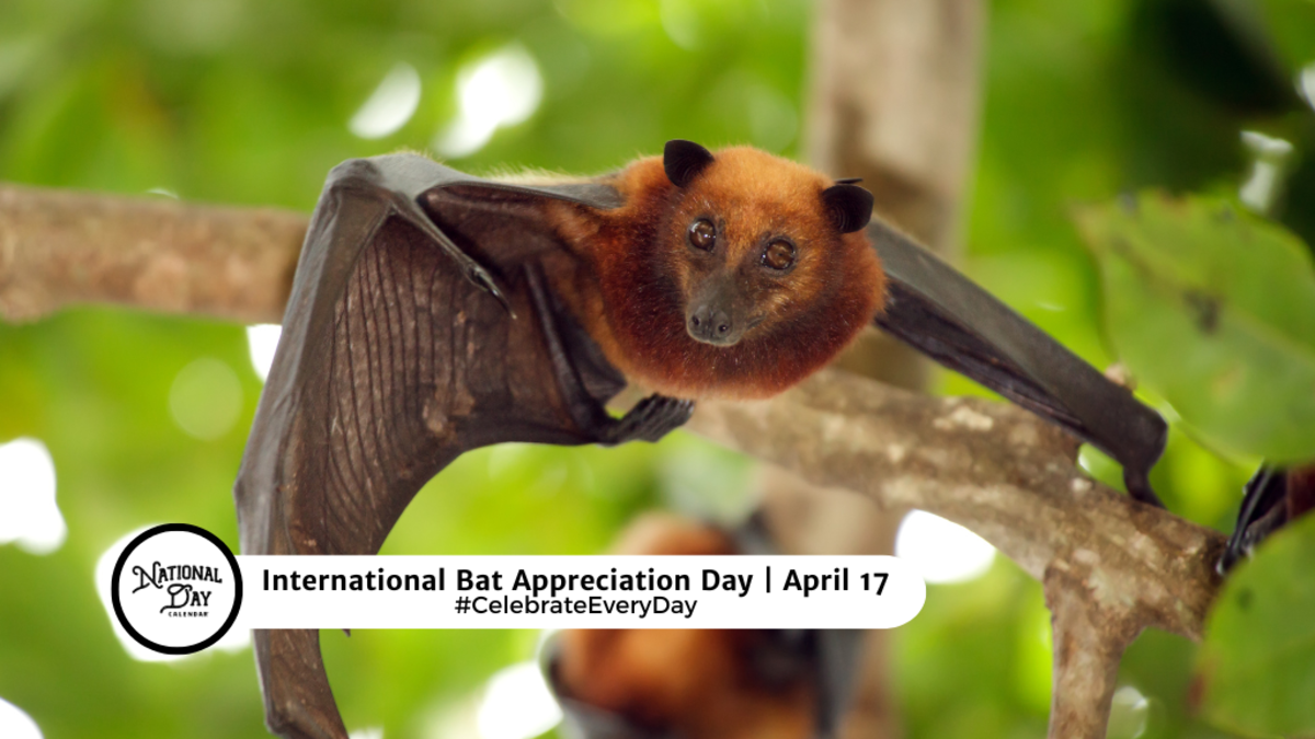 INTERNATIONAL BAT APPRECIATION DAY April 17 National Day Calendar