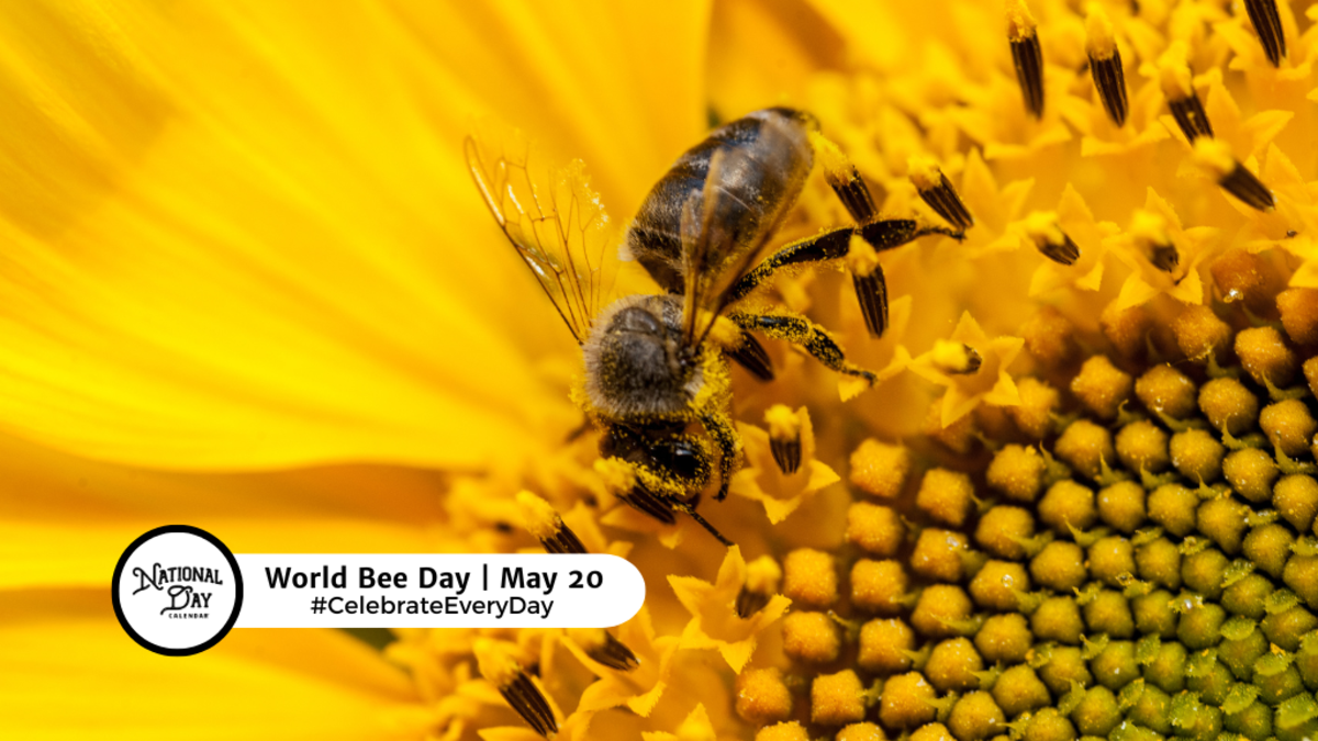 WORLD BEE DAY - May 20 - National Day Calendar