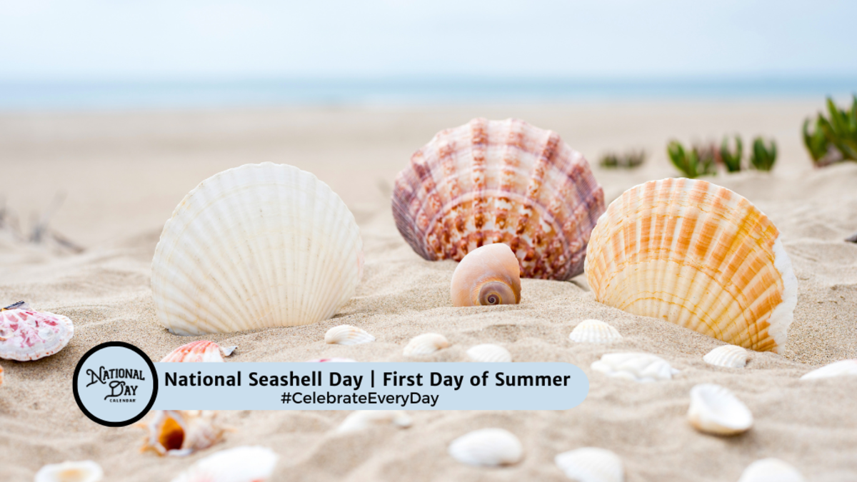 NATIONAL SEASHELL DAY June 20 National Day Calendar