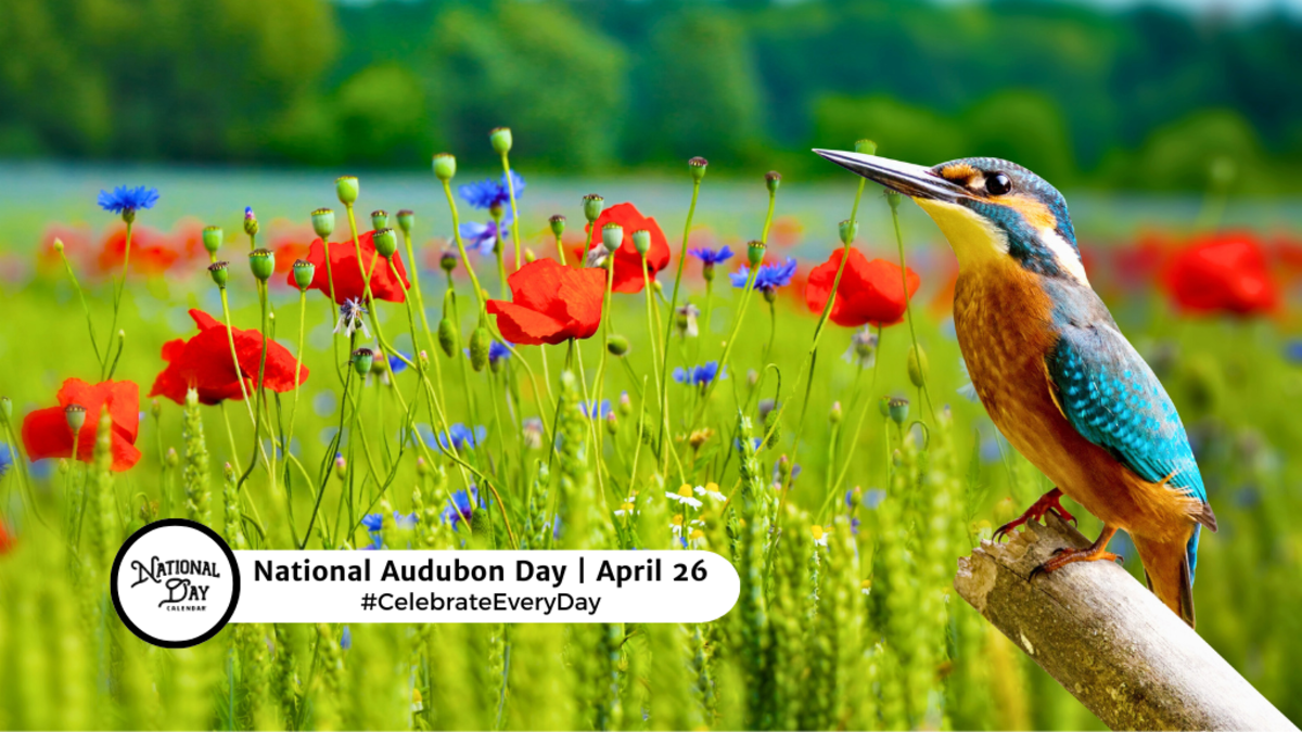 NATIONAL AUDUBON DAY April 26 National Day Calendar