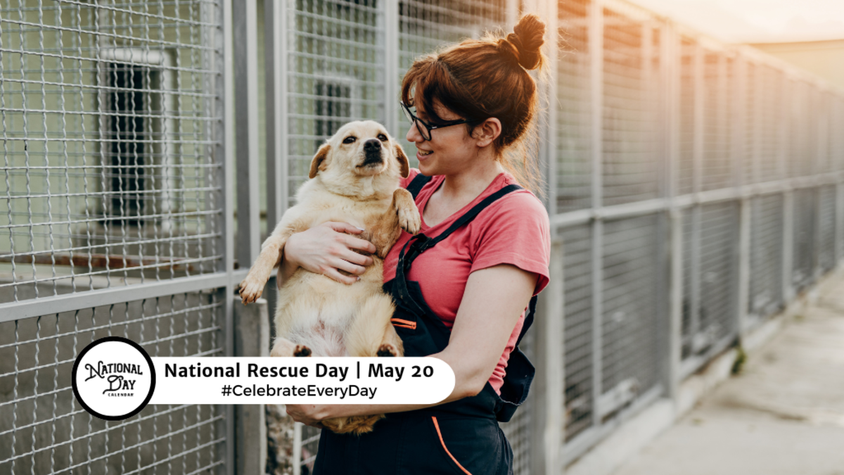 NATIONAL RESCUE DOG DAY May 20 National Day Calendar