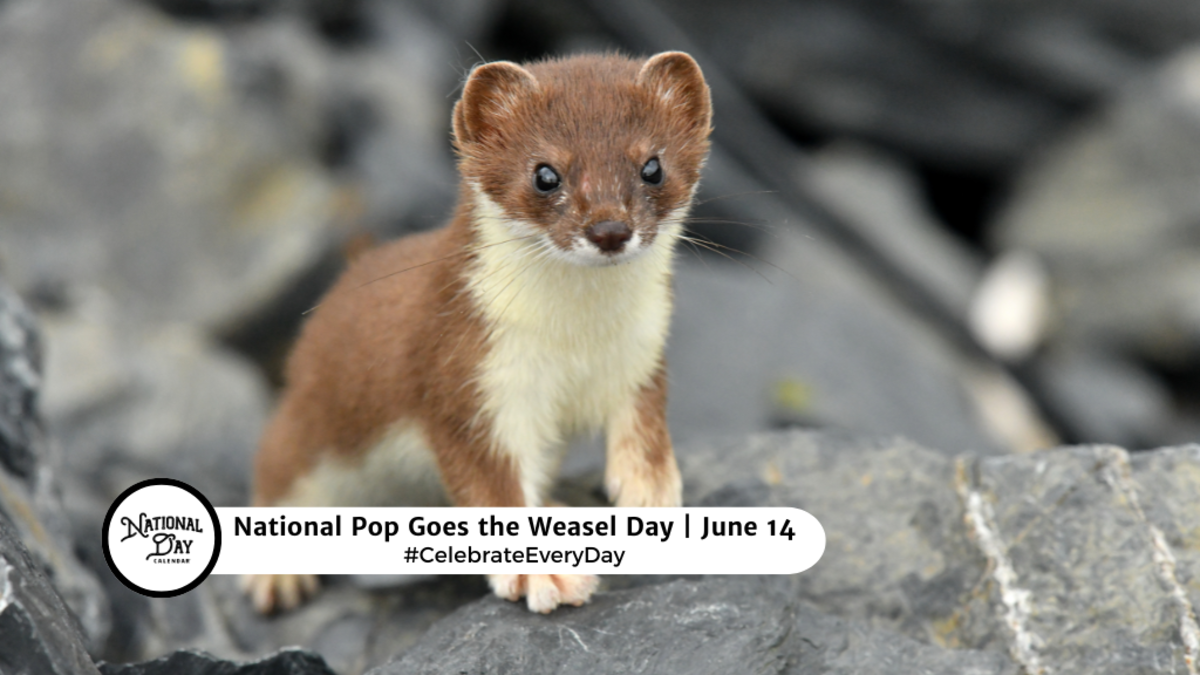 NATIONAL POP GOES THE WEASEL DAY | June 14 - National Day Calendar