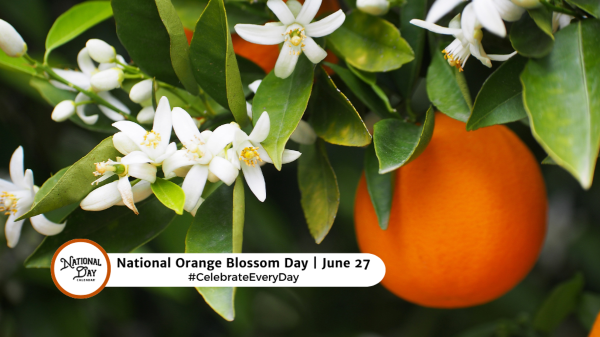 NATIONAL ORANGE BLOSSOM DAY | June 27 - National Day Calendar