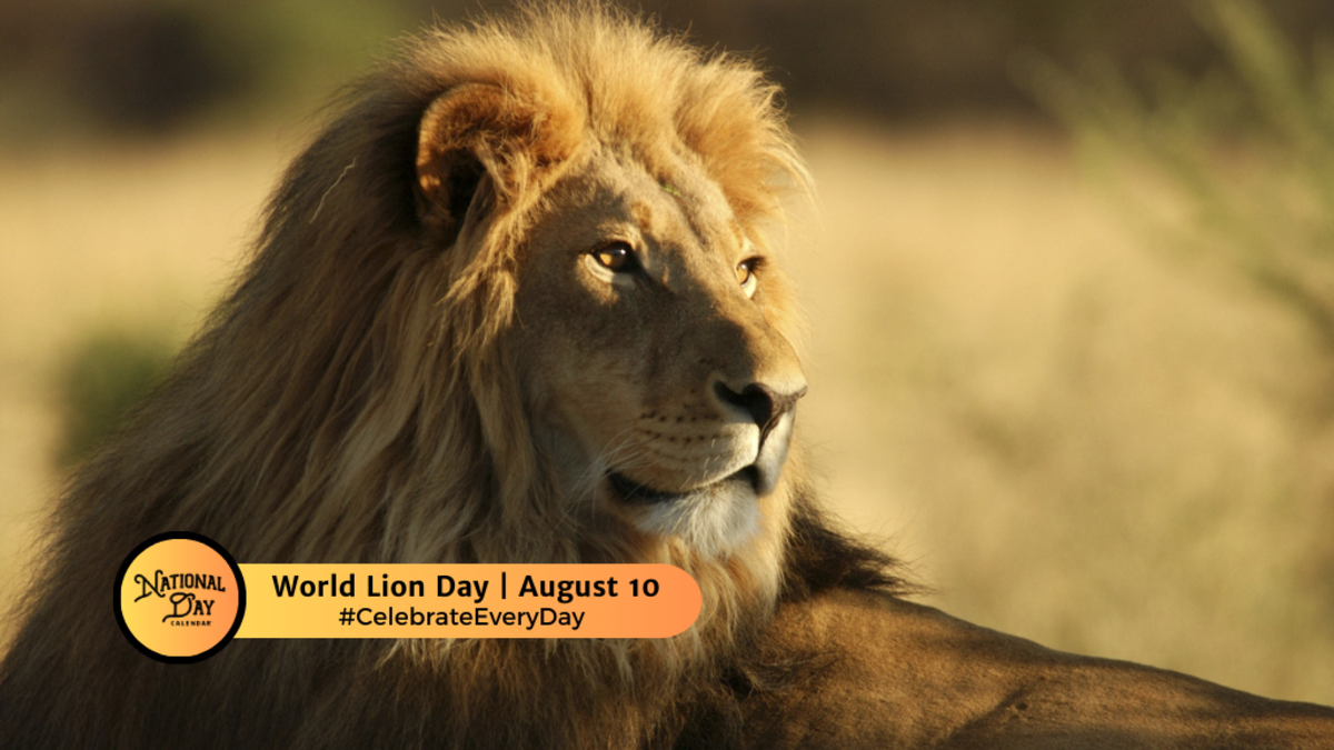 WORLD LION DAY | August 10 - National Day Calendar