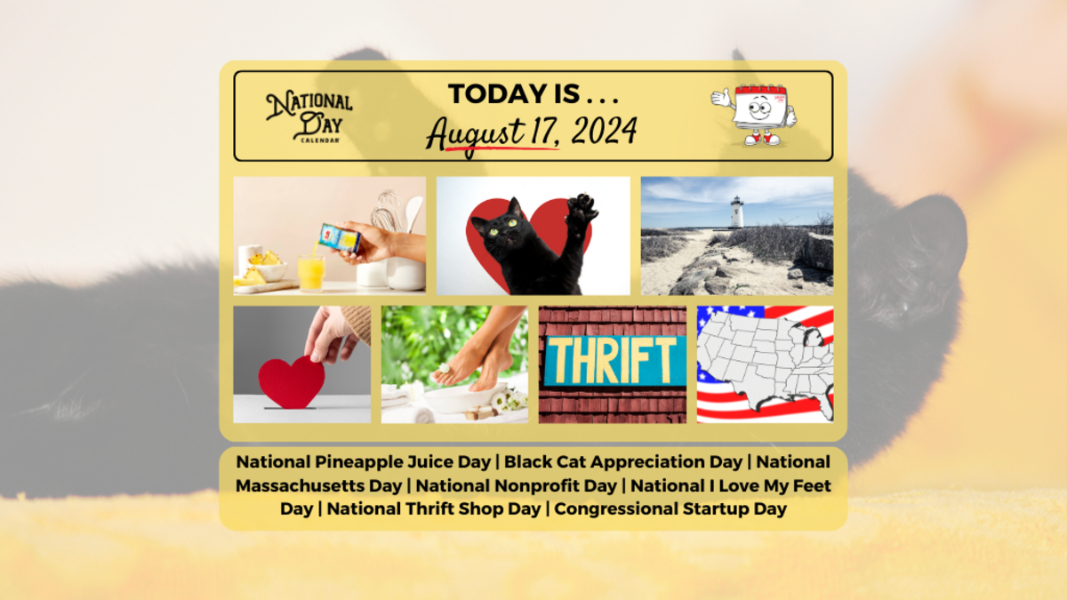 AUGUST 17, 2024 NATIONAL PINEAPPLE JUICE DAY BLACK CAT APPRECIATION