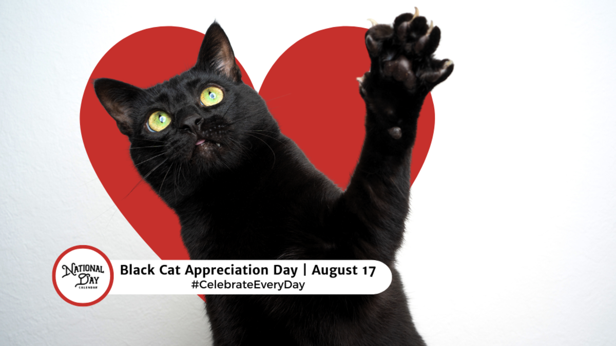 AUGUST 17, 2024 NATIONAL PINEAPPLE JUICE DAY BLACK CAT APPRECIATION