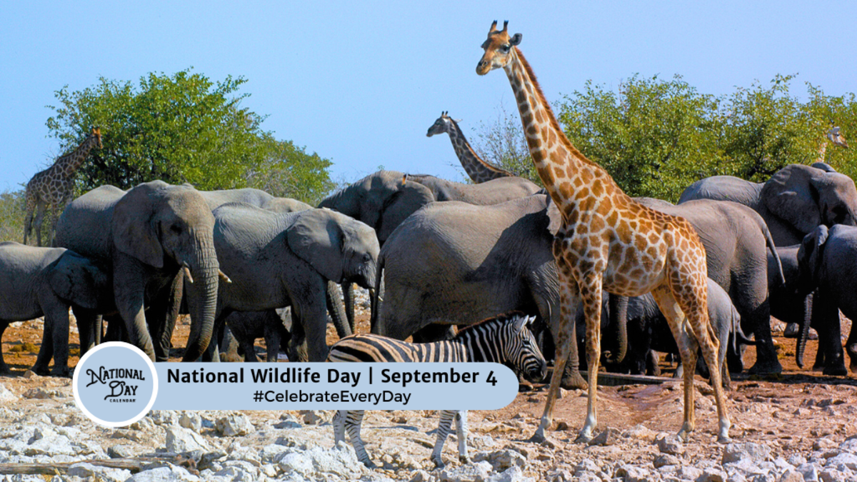 SEPTEMBER 4, 2024 | NATIONAL WILDLIFE DAY | NATIONAL SPICE BLEND DAY ...