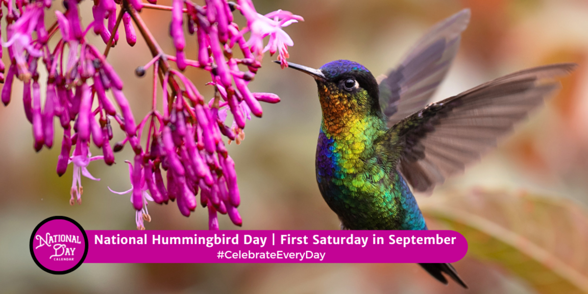 NATIONAL HUMMINGBIRD DAY September 7, 2024 National Day Calendar