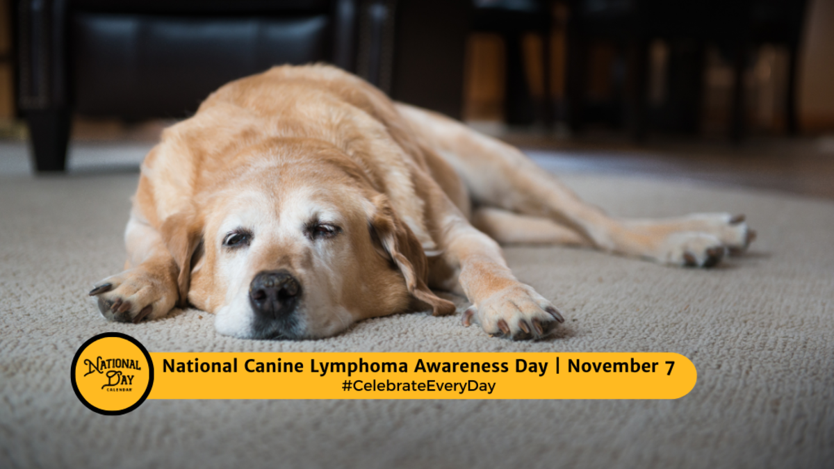 National Canine Lymphoma Awareness Day November 7 National Day Calendar