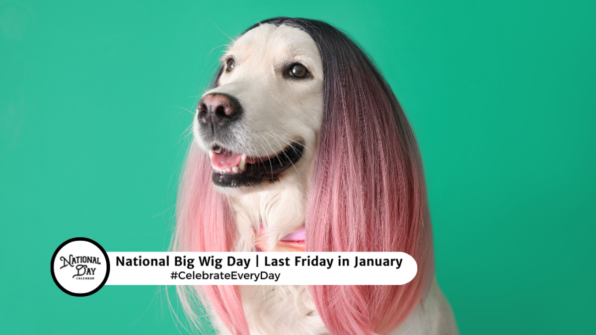 NATIONAL BIG WIG DAY Last Friday in January National Day Calendar