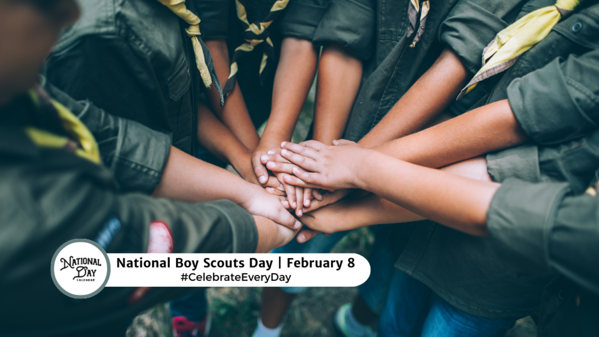 NATIONAL BOY SCOUTS DAY February 8 National Day Calendar