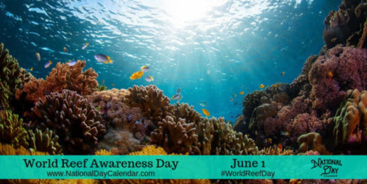 World Reef Awareness Day - June 1