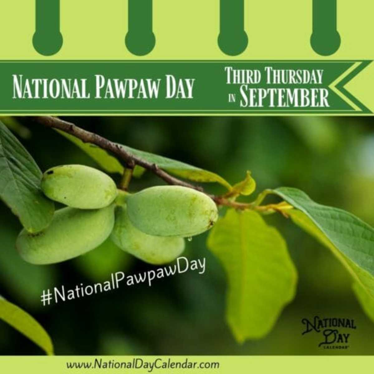 National Pawpaw Day - Third Thursday in September