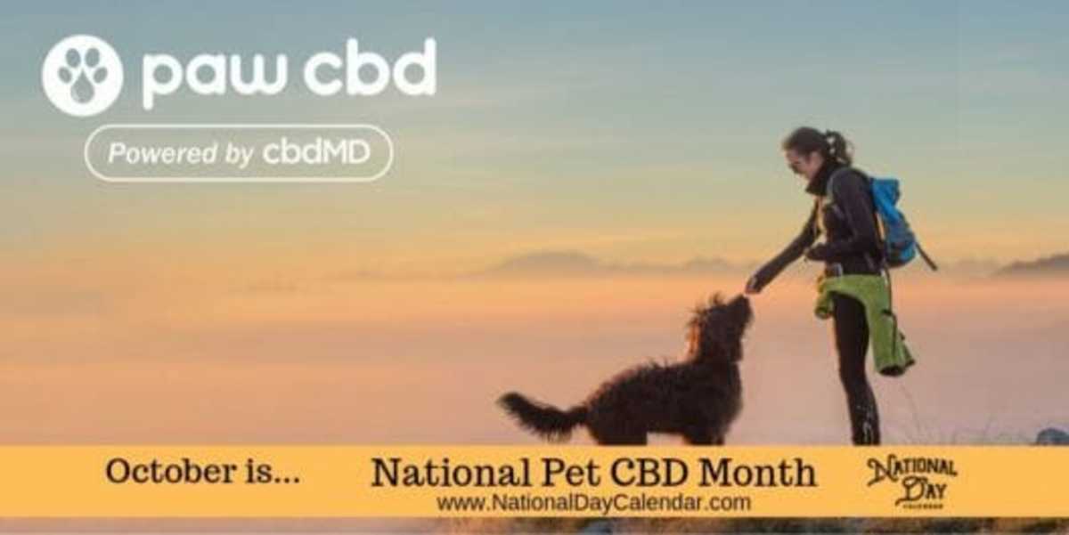 National Pet CBD Month