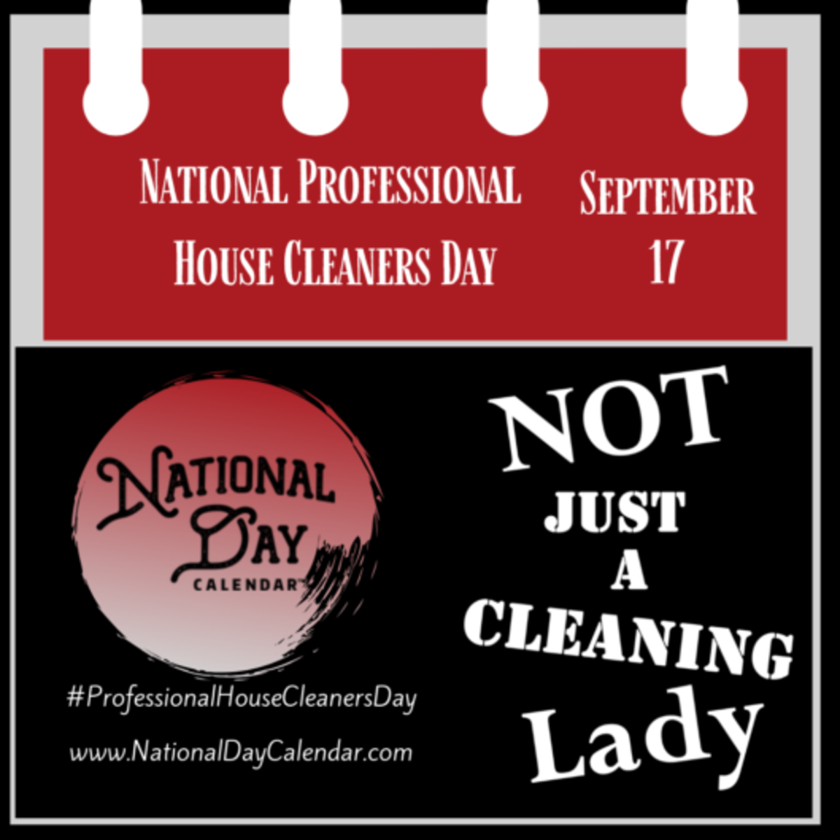 National Professional House Cleaners Day - September 17