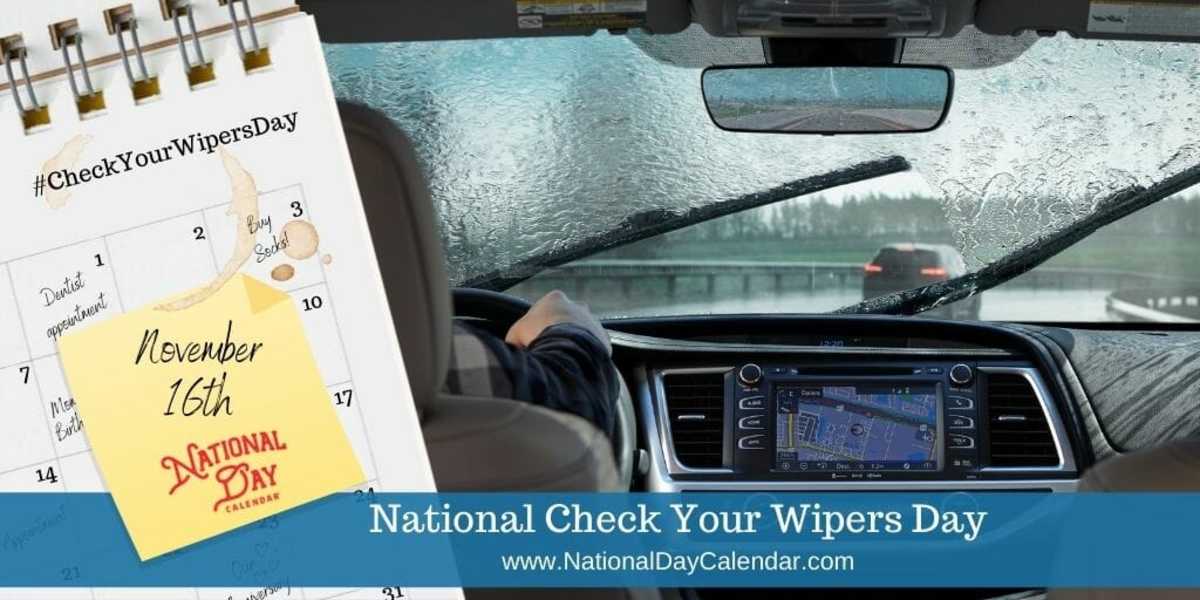 National Check Your Wipers Day - November 16