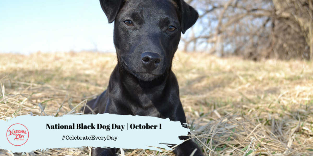 National Black Dog Day | October 1