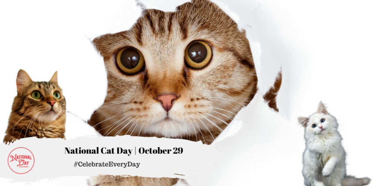 NATIONAL CAT DAY October 29 National Day Calendar