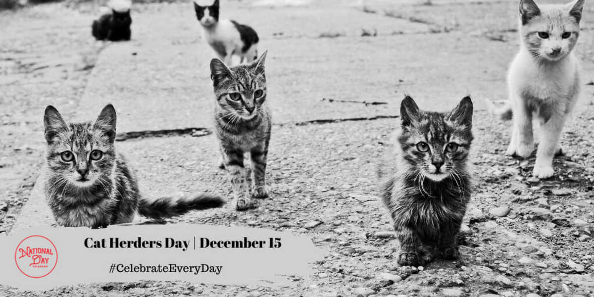 Cat Herders Day | December 15
