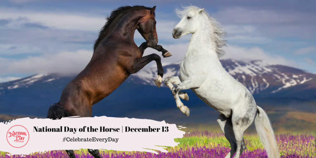 NATIONAL DAY OF THE HORSE December 13 National Day Calendar