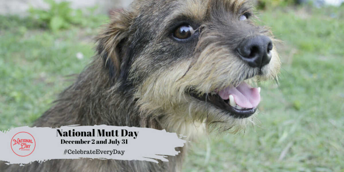 National Mutt Day | December 2 & July 31