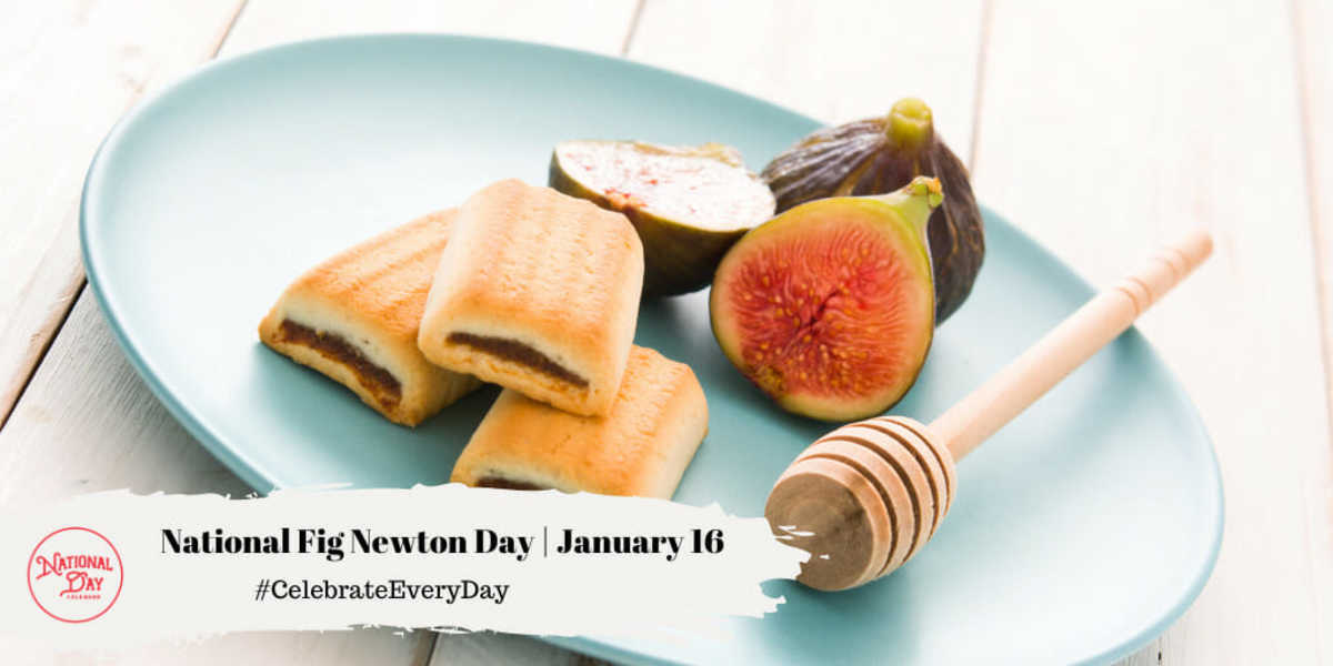 NATIONAL FIG NEWTON DAY January 16 National Day Calendar